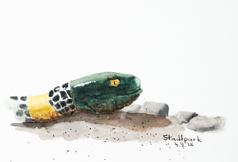 Snake on a playground in a park in St. Gallen. Painted with watercolor